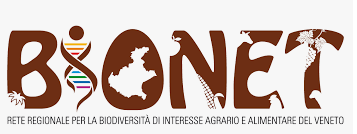 LOGO BIONET